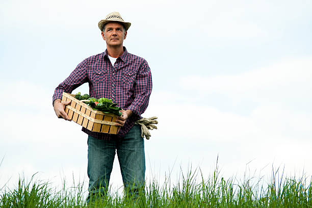istock Farmer Carrying  A Crate Of Vegetables 124388424