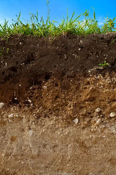 A cut of soil with different layers visible