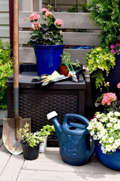 istock Garden tools including shovel and rake along with potted annual geraniums ready for planting in spring garden for summer flowers 1243907976