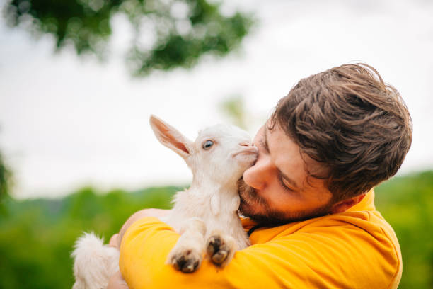istock Young Man Holding Baby Goat 1243909099