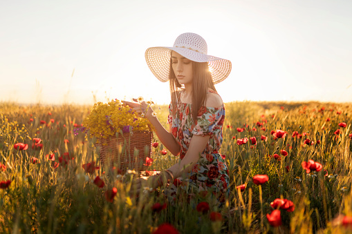 Young female beauty in the white fields of red poppy