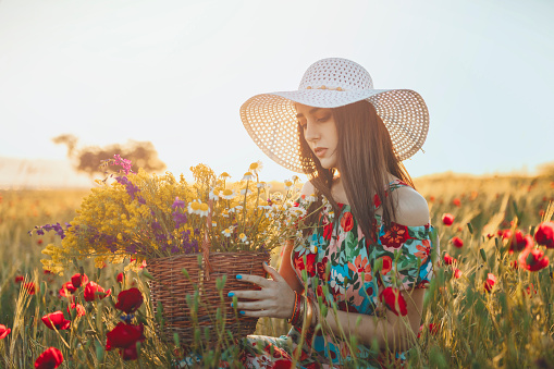 Sunset, beautiful woman dress, basket of flowers, red poppy flowers, daisies, wheat fields, retro style