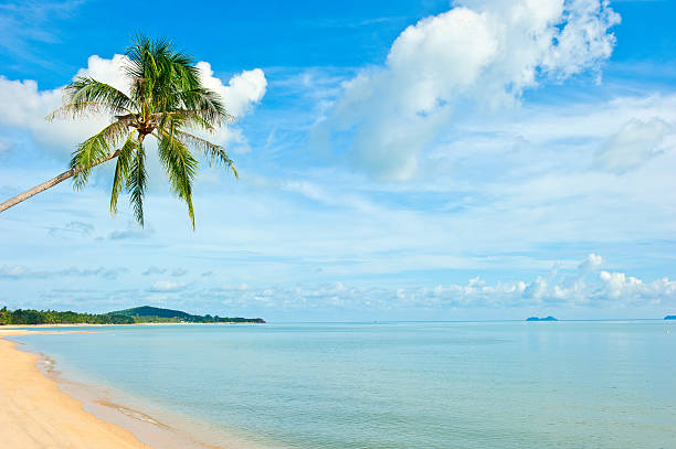 Tropical beach at Seychelles stock photo