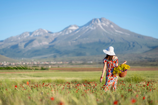 Sunset, beautiful woman dress, basket of flowers, red poppy flowers, daisies, wheat fields, retro style