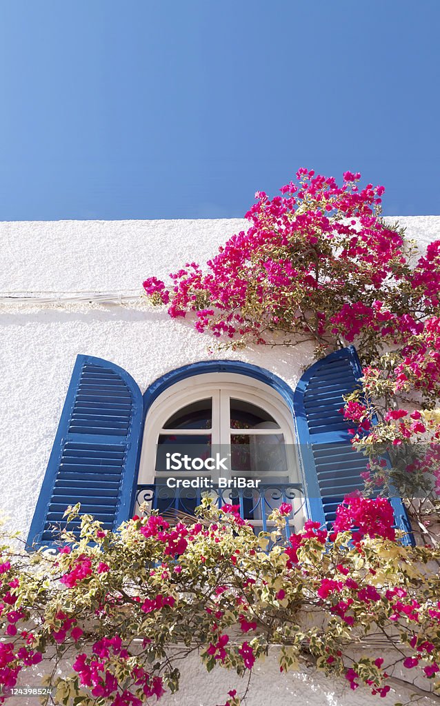 Fenêtre et de bougainvillées - Photo de Arbre en fleurs libre de droits