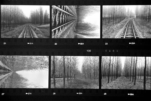 photo contact Sheet photo contact Sheet negative image technique photos stock pictures, royalty-free photos & images