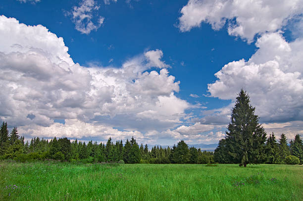 istock landscape in Transylvania Romania 124400066