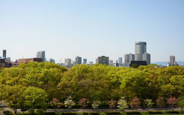 istock City view with green trees front and with building back in Osaka 1244046538