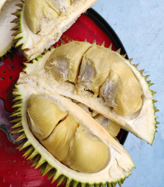 istock durian pulp of D-24 in the red plate 1244064773