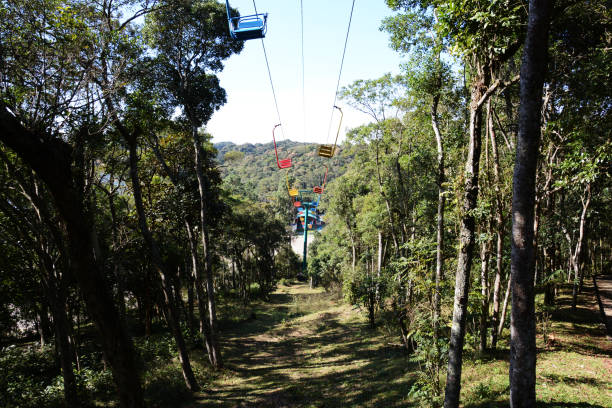 Teleferico in Atlantic Forest cable car in Estoril park amid the Atlantic forest and billings dam sao bernardo do campo stock pictures, royalty-free photos & images