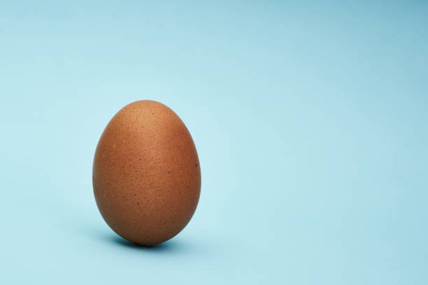 istock One chicken egg. Close up. Healthy eating 1244090517