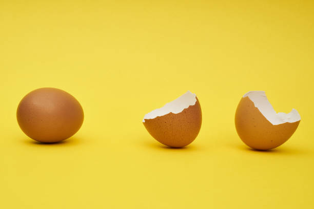 istock Chicken eggs whole and parts. Half an egg, egg yolk, shell. 1244090531