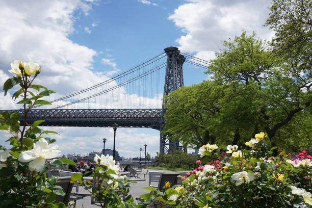 istock Williamsburg Bridge seen from above roses and trees in Lower Manhattan 1244136317