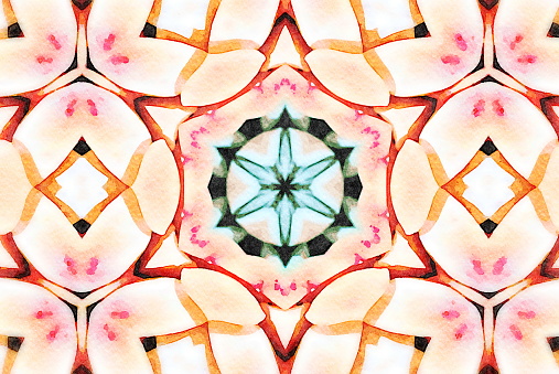 A Mandala in a Hand Painted Style on Paper, Digitally Designed from my Photographic Image of a Succulent Plant.
