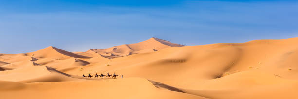 istock Merzouga in the Sahara Desert in Morocco. Web banner in panoramic view. 1244168359