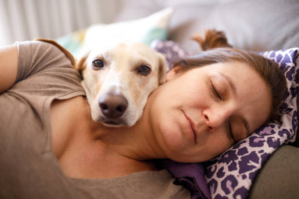 istock Cute dog lying on woman's neck 1244173455