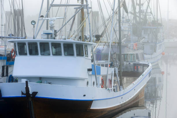 Long Beach, CA: A commercial fishing vessel named “California” arriving at a dock in early morning in Fish Harbor, with the Port of Los Angeles in the background.