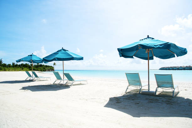 istock Tropical paradise beach with lounge chairs and umbrellas 1244215652