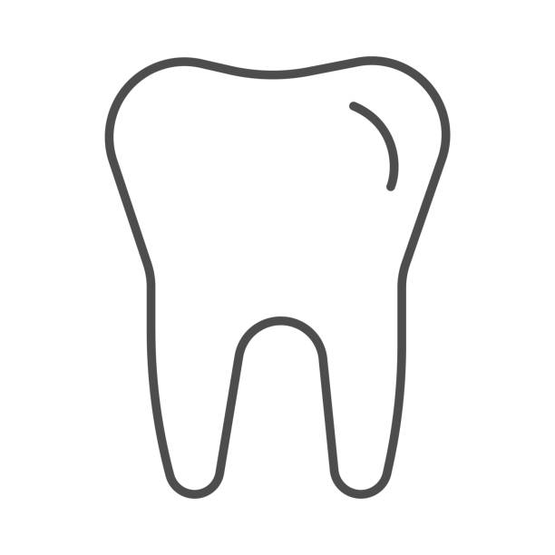 치아 얇은 선 아이콘, 치과 치료 개념, 흰색 배경에 깨끗 한 건강 한 치아 기호, 모바일 개념 및 웹 디자인에 대 한 개요 스타일에 치아 아이콘. 벡터 그래픽. - 이빨 stock illustrations