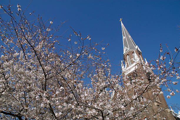 istock Church Steeple and Blooming Cherry Tree 124423129