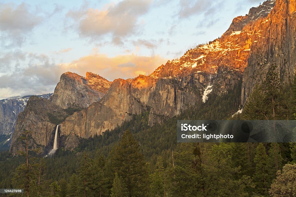 Tramonto sul versante meridionale di Yosemite - Foto stock royalty-free di Abete