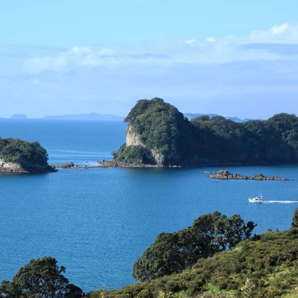 istock Motor Yachting the Coromandel Peninsula 1244303491
