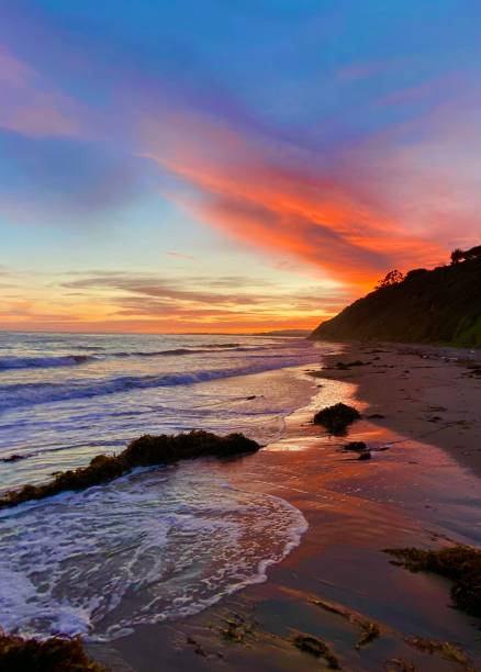 istock Arroyo Burro Beach in Santa Barbara 1244310214