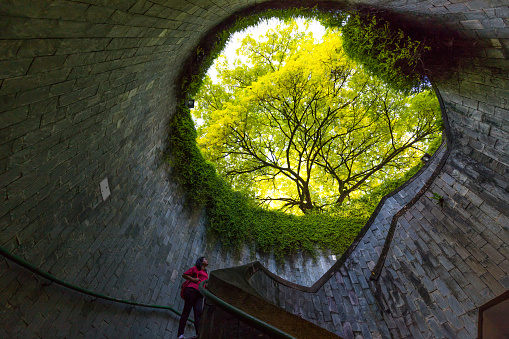 Asian female tourists  looking at the trees in the tunnel of the entrance to the underground crossing at Fort Canning Park, Singapore