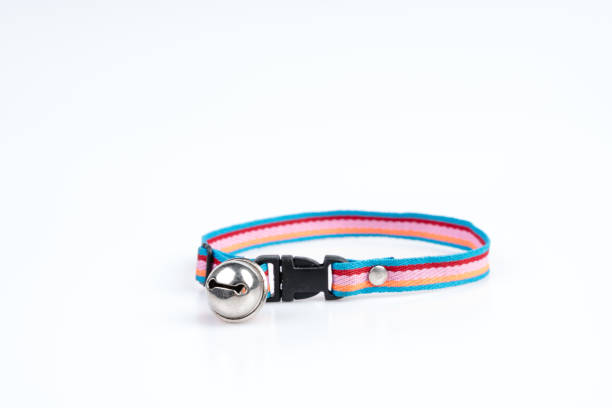 istock Pet collar with bell for dog and cat 1244329047