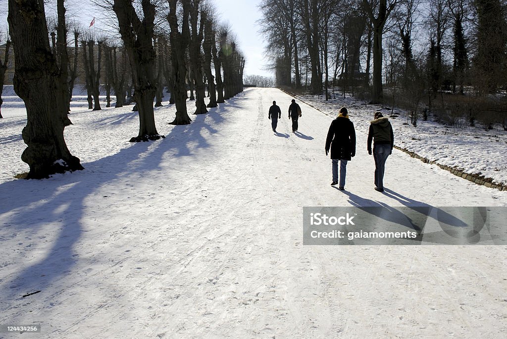Caminhada de inverno - Foto de stock de Andar royalty-free