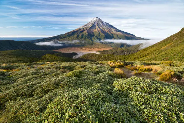 View of Mt. Taranaki, New Zealand