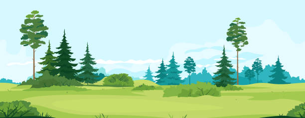 Green valley with trees tillable horizontally Path along green valley with spruce and pine trees tillable horizontally, tourist route near spruce forest and bushes in summer sunny day, nature outdoor game background tillable stock illustrations