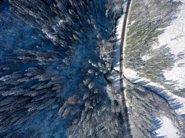 istock Aerial View Of Road Through Snow Covered Forest 1244357758