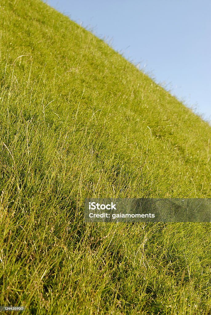 Zielone hill - Zbiór zdjęć royalty-free (Bez ludzi)