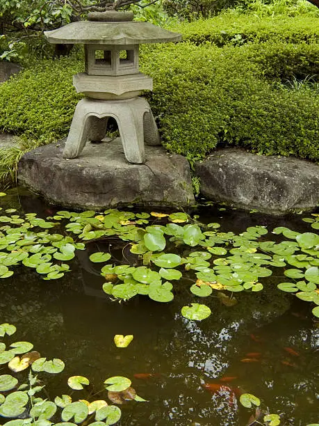 traditional japanese garden, stone lantern and small pond with small red fishes