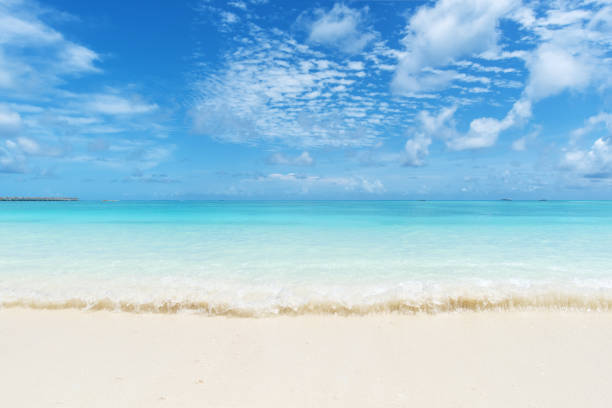 istock Turquoise sea wave comes to shore 1244367545
