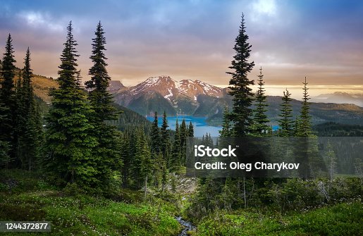 istock Glacial mountain Garibaldi lake with turquoise water in the middle of coniferous forest at sunset. 1244372877