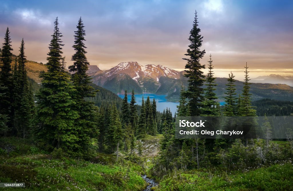Glacial mountain Garibaldi lake with turquoise water in the middle of coniferous forest at sunset. View of a mountain lake between fir trees. Mountain peaks above the lake lit by sunset rays. Canada Mountain Stock Photo