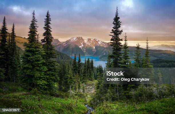 Glacial Mountain Garibaldi Lake With Turquoise Water In The Middle Of Coniferous Forest At Sunset Stock Photo - Download Image Now
