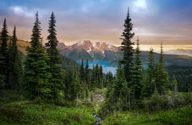 View of a mountain lake between fir trees. Mountain peaks above the lake lit by sunset rays. Canada