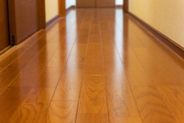 istock Wood flooring in the corridor 1244373975