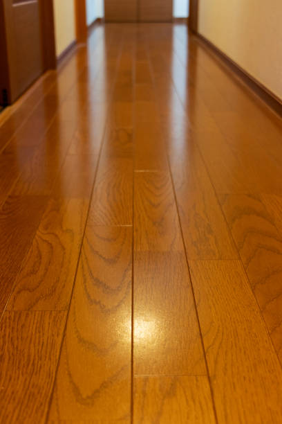 istock Wood flooring in the corridor 1244373982