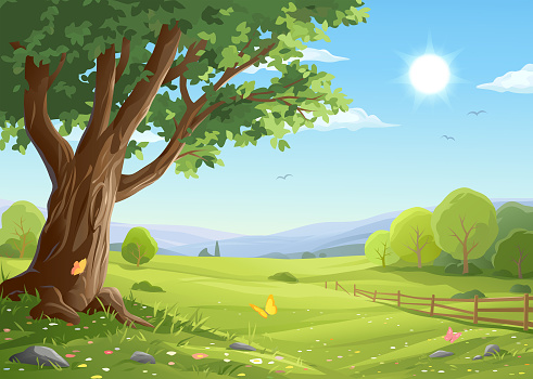 Vector illustration of a beautiful rural landscape in summer or spring with a big old tree in the foreground and bushes, a fence, hills, green meadows and a blue sunny sky in the background. Illustration with space for text.