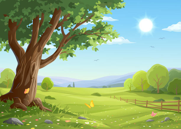 Old Tree In Idyllic Landscape Vector illustration of a beautiful rural landscape in summer or spring with a big old tree in the foreground and bushes, a fence, hills, green meadows and a blue sunny sky in the background. Illustration with space for text. cartoon landscapes stock illustrations