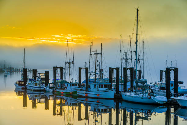 istock Vancouver Island British Columbia 1244414713