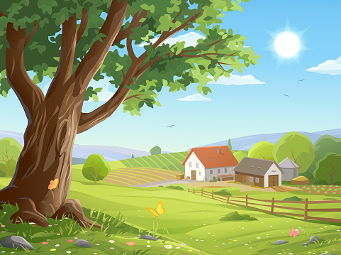 Vector illustration of a beautiful rural landscape with a big old tree in the foreground, and a farm, agricultural fields, a fence, a road, hills, bushes, trees and green meadows in the background.