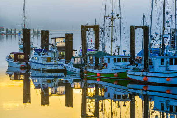istock Vancouver Island British Columbia 1244415251