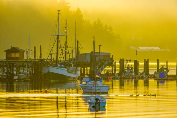 istock Vancouver Island British Columbia 1244416317