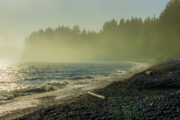 istock Vancouver Island British Columbia 1244417428