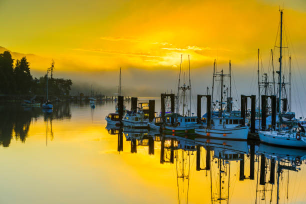 istock Vancouver Island British Columbia 1244417450